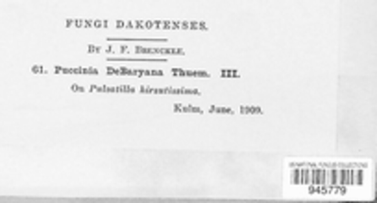 Puccinia debaryana image